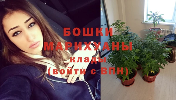 стафф Белокуриха